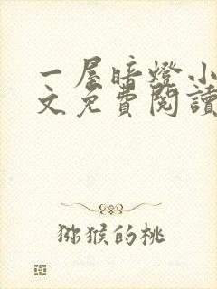 一屋暗灯小说全文免费阅读封面