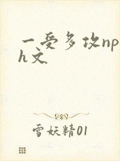 一受多攻np肉h文