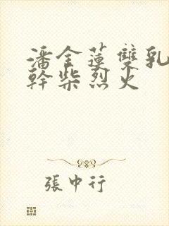 潘金莲双乳晃动干柴烈火封面