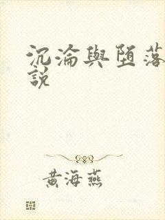 沉沦与堕落的小说