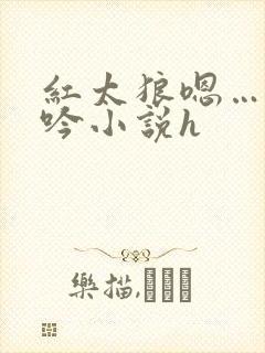 红太狼嗯…啊呻吟小说h