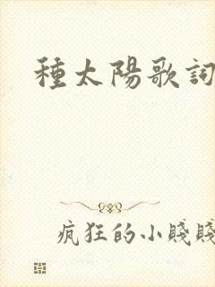 种太阳歌词封面