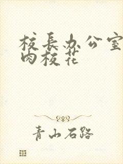 校长办公室里狂肉校花