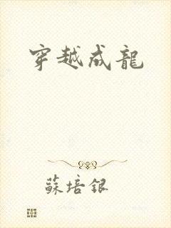 穿越成龙