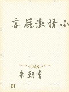 客厅激情小说封面