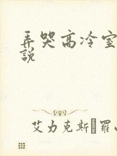 弄哭高冷室友小说