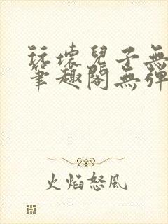 玩坏儿子无弹窗笔趣阁无弹窗笔趣阁封面