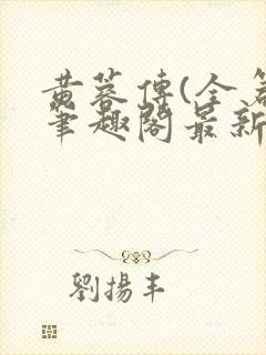 黄蓉传(全篇)笔趣阁最新章节免费阅读