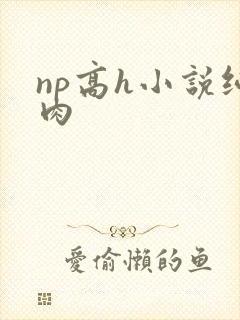 np高h小说纯肉