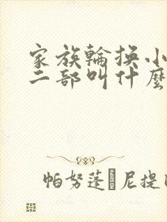 家族轮换小说第二部叫什么名字