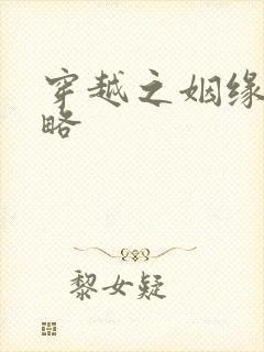 穿越之姻缘劫攻略封面