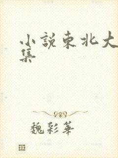 小说东北大炕全集封面