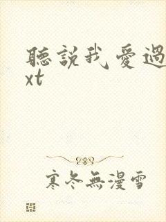 听说我爱过你txt