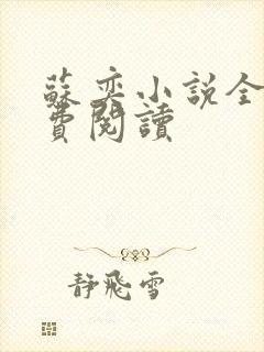 苏奕小说全文免费阅读