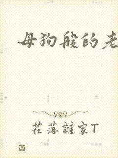 母狗般的老师封面