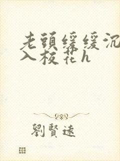 老头缓缓沉腰进入校花h