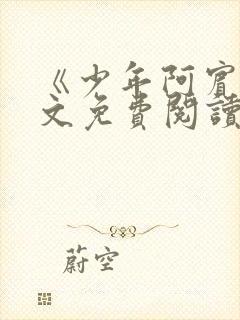 《少年阿宾》全文免费阅读