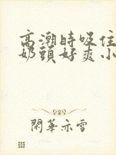 高潮时吸住我的奶头好爽小说