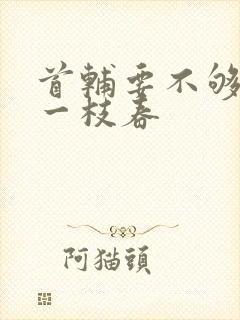 首辅要不够po一枝春