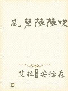 风儿阵阵吹封面