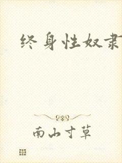 终身性奴隶封面