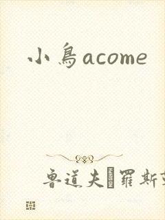 小鸟acome封面