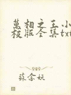 万相之王小说精校版全集txt