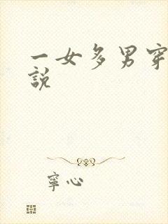一女多男穿越小说