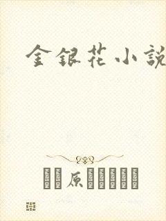 金银花小说乐可封面