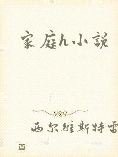 家庭h小说