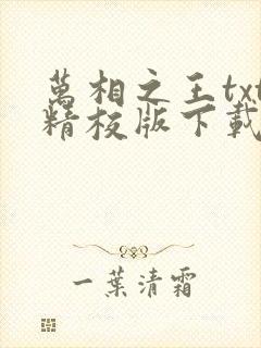 万相之王txt精校版下载