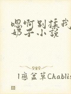 嗯啊别揉我的大奶子小说