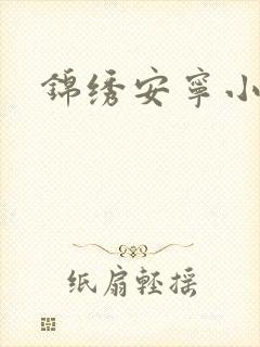 锦绣安宁小说