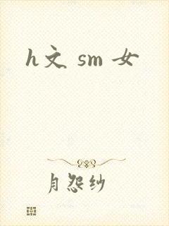 h文 sm 女封面