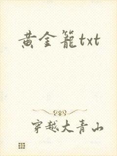 黄金笼txt