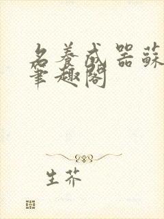 名养成器苏沫沫笔趣阁