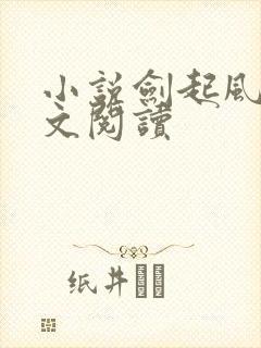 小说剑起风云全文阅读封面