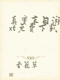 真实末日游戏txt免费下载