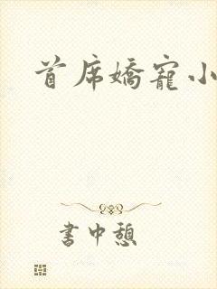 首席娇宠小情人