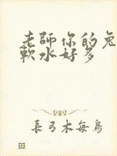 老师你的兔子好软水好多封面