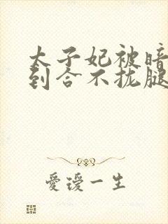 太子妃被暗卫C到合不拢腿封面