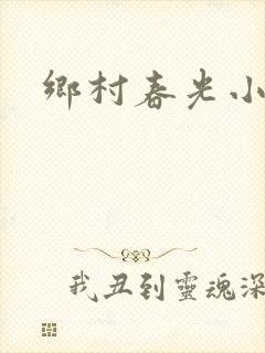 乡村春光小说