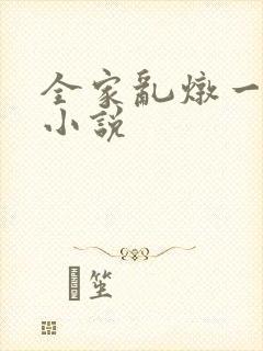 全家乱炖一锅烩小说