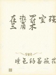 在惩罚室强迫坐三角木