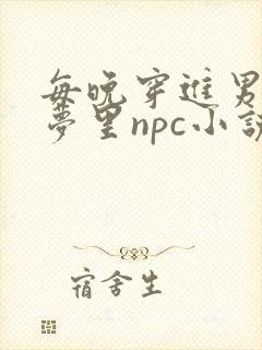 每晚穿进男神的梦里npc小说