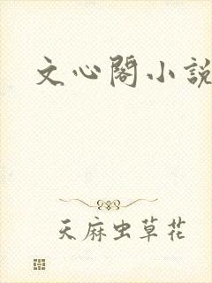 文心阁小说