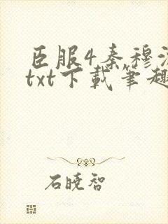 臣服4秦穆沈流txt下载笔趣阁封面