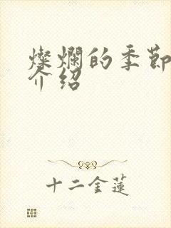 灿烂的季节剧情介绍