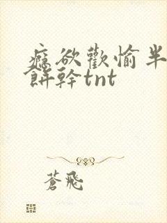 瘾欲欢愉半块小饼干tnt