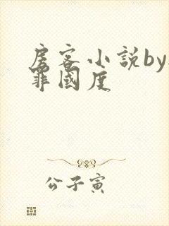 房客小说by无罪国度